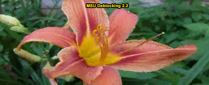 MSU Deblocking