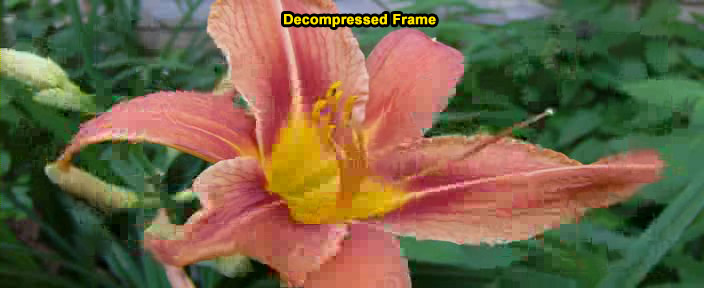 Decompressed frame